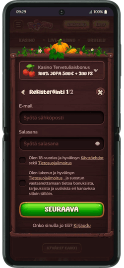 Me syötämme ensimmäisessä vaiheessa Roostino